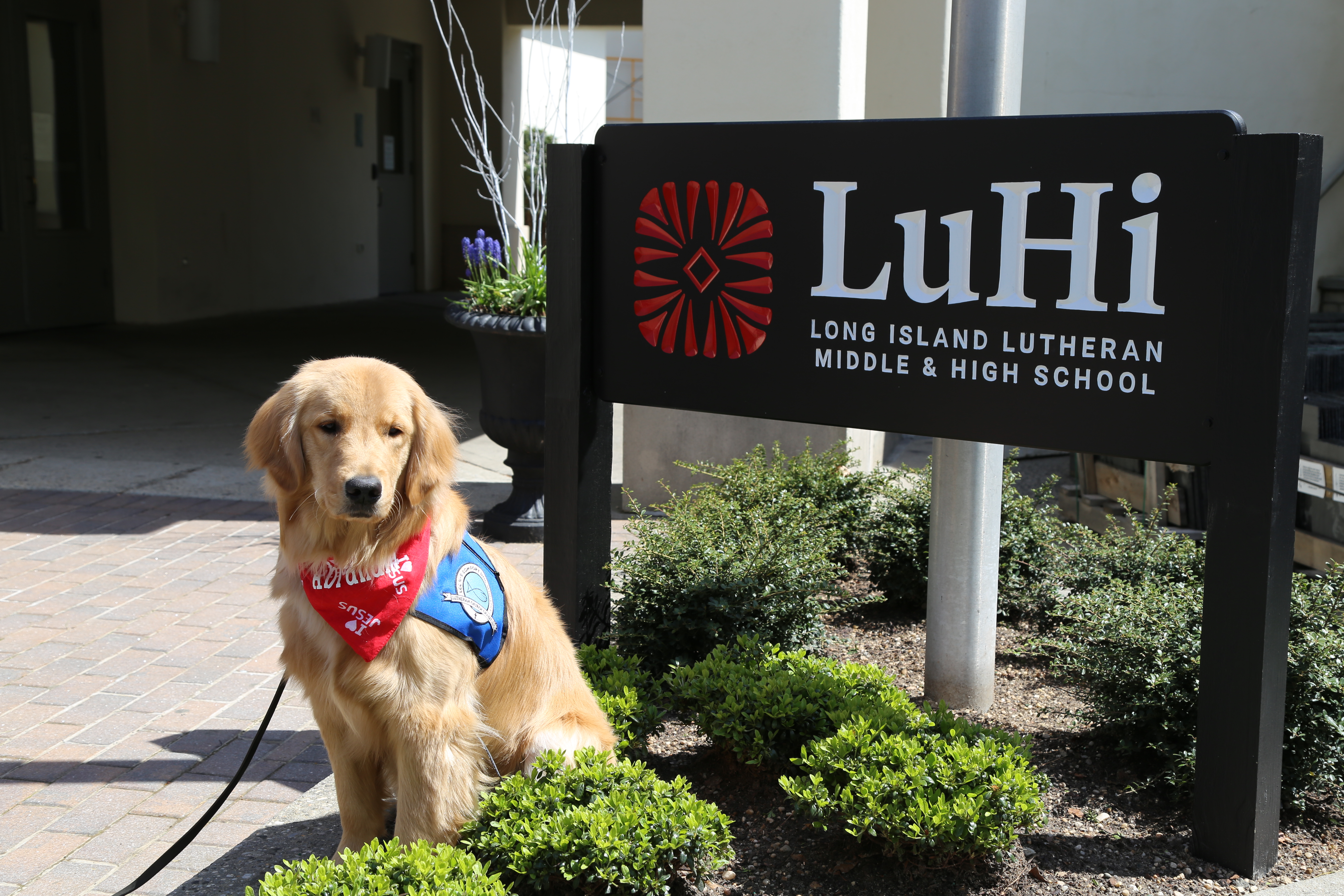 Comfort Dog Ministry | Trinity Lutheran Church and School